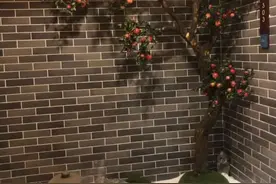 石榴树制作#花艺教学 #花艺软装 #花艺设计 #酒店#茶楼￼#花店@徐氏花艺软装  @徐氏花艺商学院花艺培训视频封面