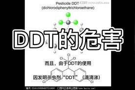 DDT的危害
