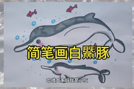 【简笔画】白鱀豚，好想再看到它们畅游在长江里。#画画#绘画视频封面