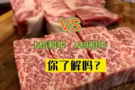 你常吃的澳洲M5、M9和牛是什么划分等级的？你真的了解吗？#美食