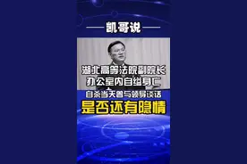 曾审“河南第一贪”的湖北高院副院长张忠斌 办公室内自杀身亡 网友感叹：想不到 想不通#新闻#热点视频封面