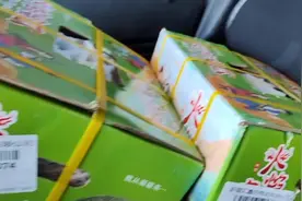 昨晚深夜虹桥机场接的新疆哈密瓜，每一个都是新疆空运过来的
