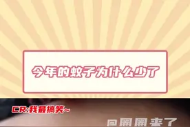 #今年的蚊子好像少了  蚊子：我被热死了，你们难道不知道吗视频封面