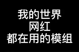 我的世界网红都在用的模组[JEL-物品管理]
