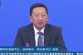 扫黑除恶专项斗争典型案例#黄冈视频封面