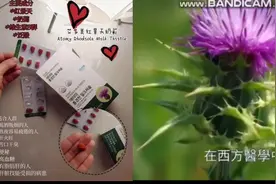 艾多美红景天奶蓟草片-九大肝脏保护功效，醒酒草本，护肝良方