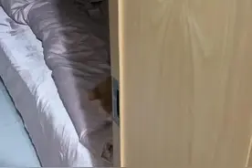 买了两次猫，上了两次当。一个是美短混血，养大了成了狸花。一个是金渐层混血，养大了成了橘座！真是，每天上一当，当当不一样啊。😂😂😂