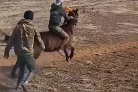 父亲把儿子扶上马背，网友:那一瞬间，他终于可以放心地老去了 #父爱无声父爱如山 #成长就是不断告别 #目送你的背影渐行渐远 @木古