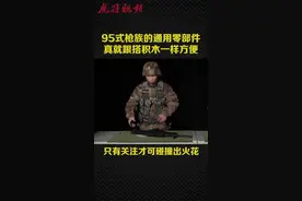 #燃兵器 要问95步枪拆卸分几步，来一起看看。
