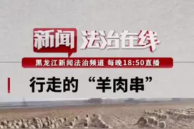 #羊群走出阅兵范！羊倌到底咋做到的？@抖音短视频视频封面