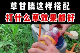 草甘膦这样搭配，打什么草效果都好！！#农家值丰年 #来抖音学农技 #新农人计划2022 视频封面