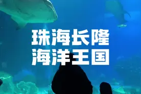 珠海长隆1月29开园了，虎年带上孩子一起来过快乐中国年吧视频封面