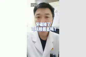 牙磕掉了，可以接回去吗？#科普 #医学科普 #健康 #涨知识 