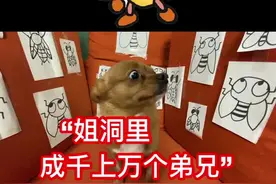 有时候，降服一只烈犬，不需要另一只烈犬，“蝼蚁”即可。视频封面