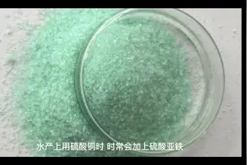 硫酸亚铁在水产品中的作用及其使用方法#硫酸亚铁水产中左右视频封面