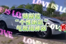 #特斯拉 “个性喇叭” 音乐外放、扩音器怎么玩？#气氛组就位