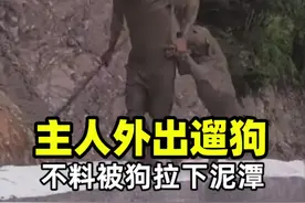 主人外出遛狗，不料被狗拉下泥潭，网友：怎么办，只能宠着呗。 #家有萌宠  #搞笑