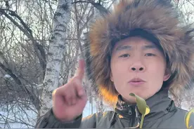 冻青也叫寄生，只有在冬天的时候才会结果！它是一味药材！#寄生 #冻青 #林区人的生活