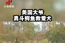 美国大爷勇斗鳄鱼救爱犬！视频封面