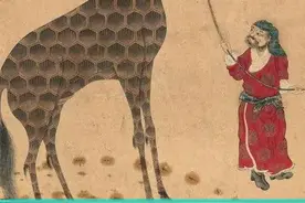 第一个见到麒麟的人是谁？哪些国家现在还有麒麟？如果麒麟这个名字还保留的话是不是很酷#故宫 #文化 #麒麟 #颐和园 