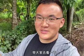 带大家去看看全国最早的荔枝#荔枝视频封面