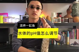 鱼缸混养一缸鱼，水质的PH值怎么调节才适合鱼的健康成长视频封面