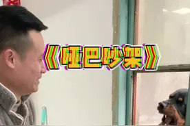 小坨弟简直就是一坨的翻版：天生哑巴，护主心强，龇牙咧嘴，不待见母老虎😂#罗威纳护卫犬