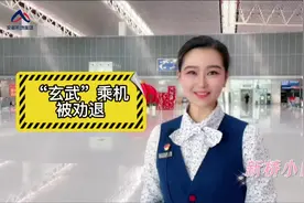 携带活体动物等其他物品的乘机规定 #乘机小知识视频封面