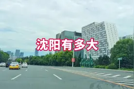 都说沈阳大，到底有多大呢，咱们从这个角度来看看#街拍视频封面
