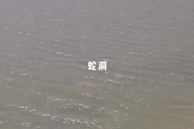 巡田的时候发现一条蛇钻进洞里，回去拿个炮给它轰轰！！#农村生活 #我的乡村生活 #原生态乡村生活 #真实户外 #奇妙的动物 #意不意外 视频封面