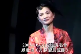 20年前的今天   2003-10-31 凤飞飞2003演唱会首场高雄演唱会视频封面