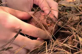 7月16日，景彝源庄苑将举行火把节。#打卡 #红塔融媒 