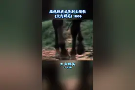 #亚视 的武打为什么那么好看，那都是用电影机拍摄的，质感满满。#怀旧经典影视 #好剧推荐 #武侠