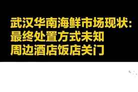 武汉华南海鲜市场现状：最终处置方式未知，周边酒店饭店关门，人人避之不及视频封面