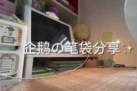 笔袋分享 我这个角度好迷惑🤣 #用心造物 的笔袋真的绝绝子