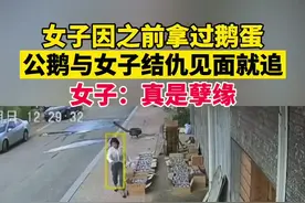 8月29日吉林长春，女子因之前当面拿过鹅蛋与公鹅结仇，每次一见面就追咬！视频封面