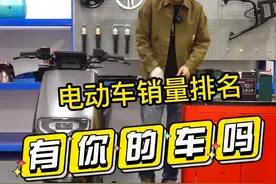 电动车品牌销量排名供大家选车参考！#电动车 #新国标电动车 