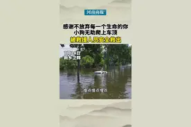 感谢不放弃每一个生命的你！河南新乡，#小狗爬上车顶求救被安全救出视频封面