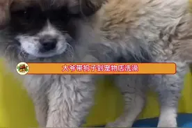 那之前是有多黑啊#娱乐评论大赏视频封面