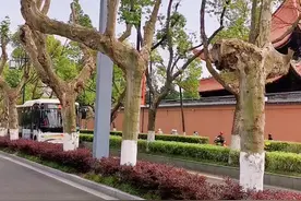 全世界都在说“姆妈”~ #方言 #文化 #苏州 #苏州话@DOU+小助手 @抖音短视频 视频封面