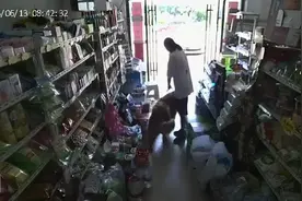 监控下的一幕，某超市进入一条大型犬，先是跟老板去打个招呼视频封面