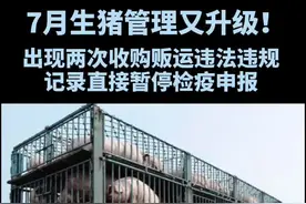 农业农村部：7月1日起，所有从事生猪收购贩运的单位和个人均需在微信小程序“牧运通”上登记。