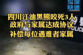 四川黑熊咬死3人，政府与家属达成协议，补偿每位遇难者家属29万余元#黑熊咬死人事件江油视频封面