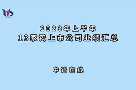 2023年上半年13家钨上市公司业绩汇总。#厦门钨业 #章源钨业视频封面