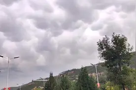 她说“下雨了”是什么意思？#下雨天 #暴雨来袭视频封面