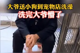 #狗子洗完澡后主人不认识了，大爷一直以为自家小狗是黑色的，洗完澡后突然变白，缓了好久才接受事实！视频封面