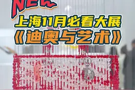 《迪奥与艺术》展览来上海啦！想知道LADY DIOR背后的故事吗？记得来打卡！#Dior #迪奥 #迪奥与艺术 #ladydior #奢侈品 #艺术展 #上海 #魔都打卡指南 视频封面