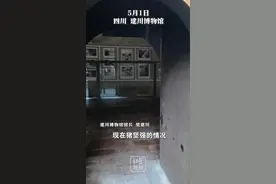 建川博物馆称14岁“猪坚强”可能即将走完生命旅程，樊建川：情况很糟了。视频封面