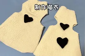 喵的冬日小马甲#养猫日常 #猫衣制作#萌宠