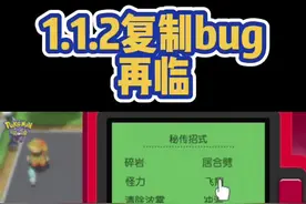 1.1.2整箱复制bug再临#精灵宝可梦